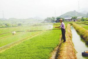 沃爾瑪在塘廈建立東莞首個農超對接基地，新鮮蔬菜直供零售